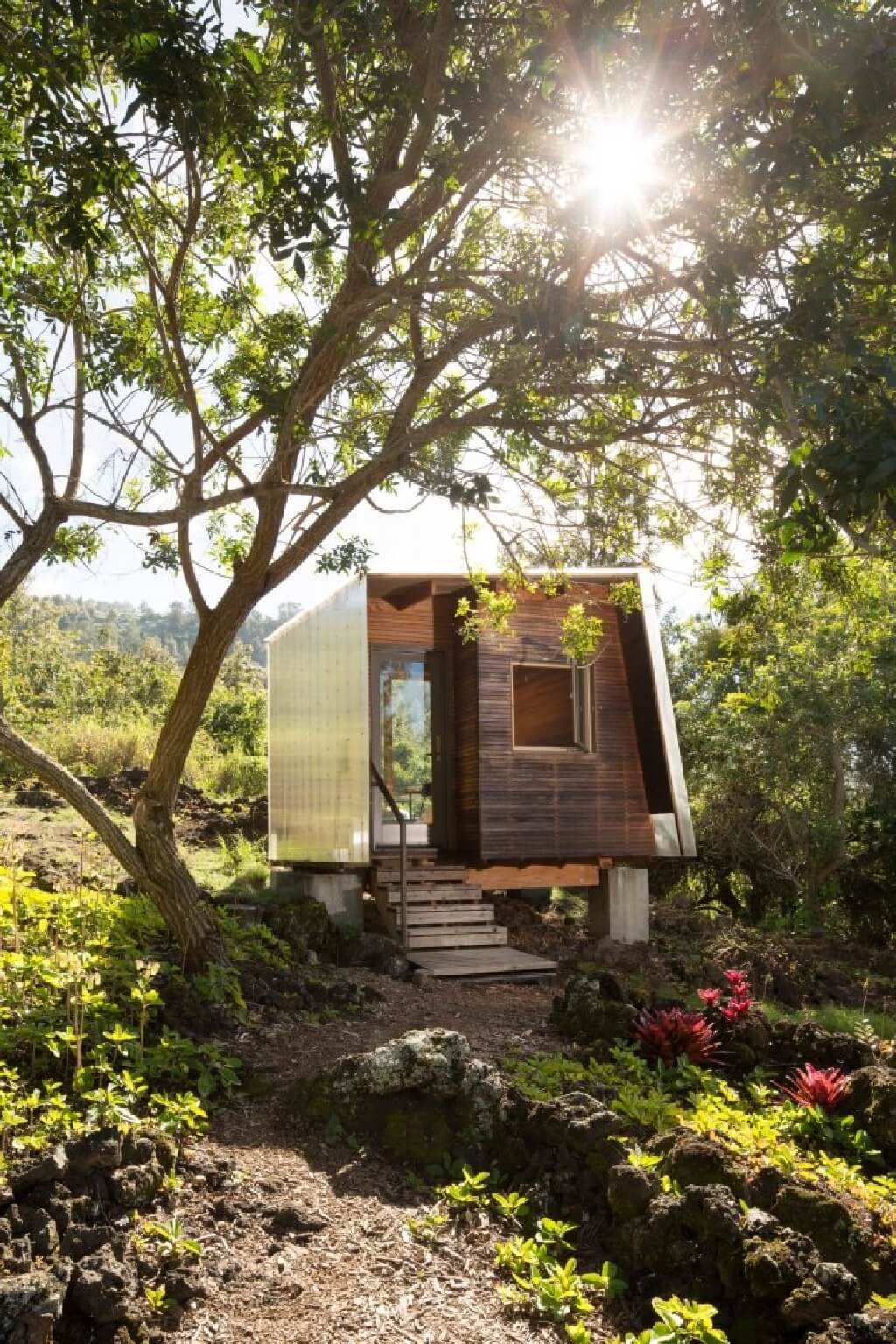 کابین هاوایی توسط آرین مور برای زندگی در فضای باز طراحی شده است